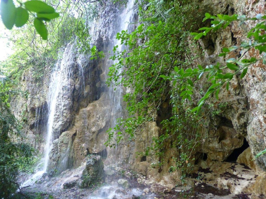 Sarroca de Bellera La Fusteria Del Casat 아파트 외부 사진