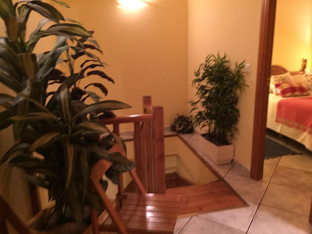 Sarroca de Bellera La Fusteria Del Casat 아파트 외부 사진